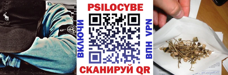 мега сайт  Нерюнгри  Галлюциногенные грибы Psilocybine cubensis 